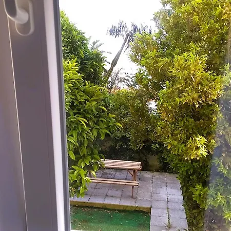 Apartment Garden With Bbq&orange Tree - Near Lisbon&sintra Queluz